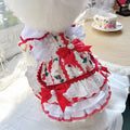 Small white dog wearing a white rabbit skirt princess style outfit with layered frills.