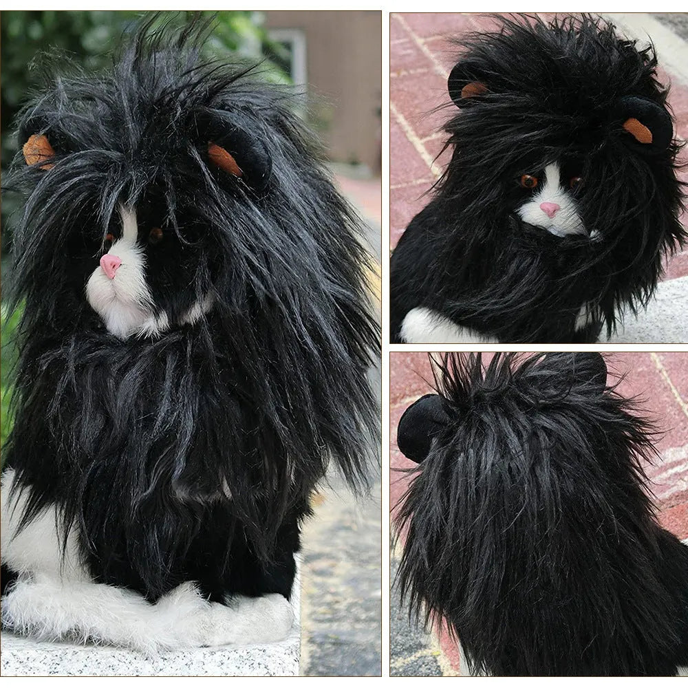 Black and white lion mane wig hat headgear for a cat or small dog wearing the costume.