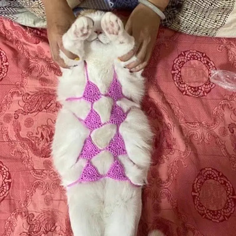 Sweet style cat bikini costume for Halloween and pet parties in various colours.
