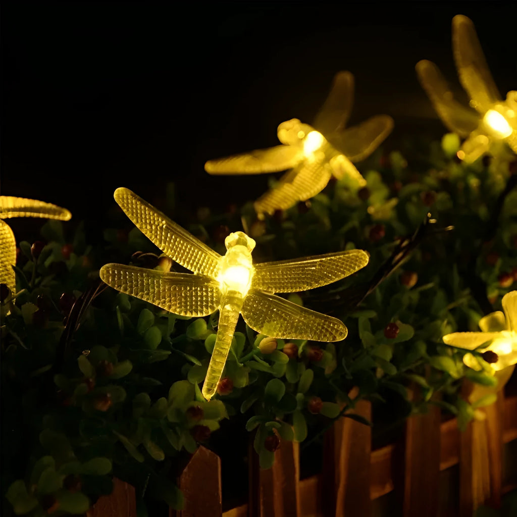 30 LED solar string lights with warm white bulbs and separate solar panel for garden decoration