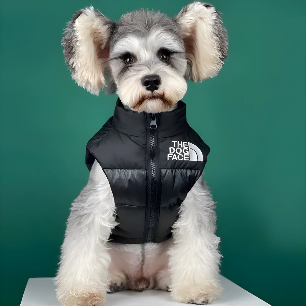 Thick black dogface down vest for small dogs autumn and winter clothing