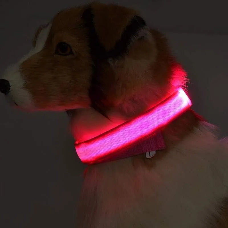 Nylon LED pet collar with adjustable buckle in blue, glowing with fibre optic lights in flash mode on a dark surface