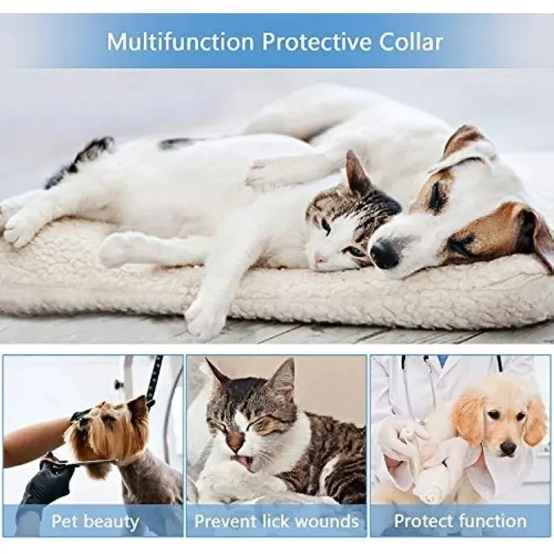 Blue inflatable soft recovery collar for a dog, showing adjustable air valve.
