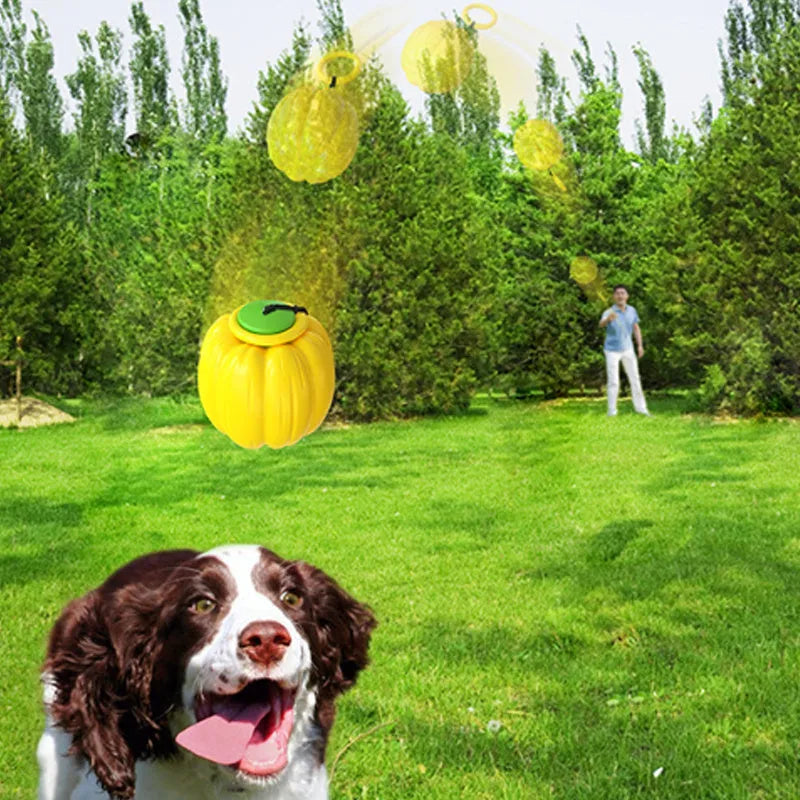 Green plastic pumpkin-shaped dog chew ball with squeaker for small dogs