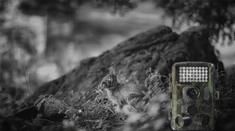 Wild hunting camera in Military Green with 2.0 inch LCD, HD 1080p, 12x optical zoom, and MicroSD slot