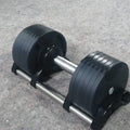 Electroplated cast iron dumbbell in 20KG 32KG 36KG options for home gym strength training