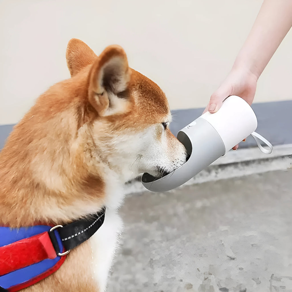 Moestar rocket-shaped pet drinking cup in white with grey accents showing water outlet and lock button