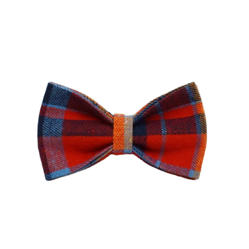 Dog wearing four-piece gentleman fashion set with collar, leash, bow tie and vest in cloth material