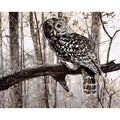 Owl digital painting kit showing canvas, acrylic paints, and brushes on a table