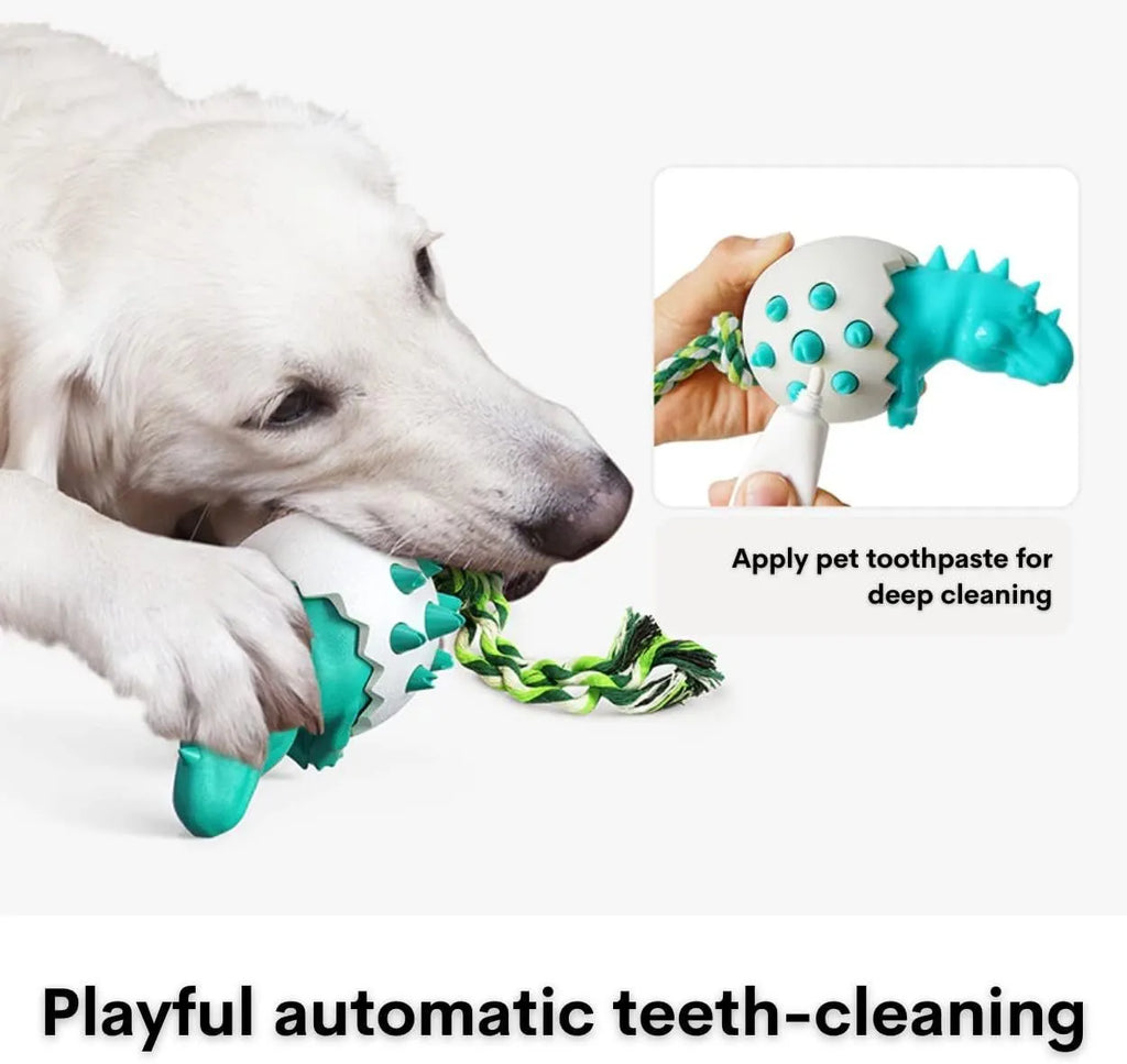 Blue dinosaur-shaped dog chew toy with rubber body and nylon rope tail.