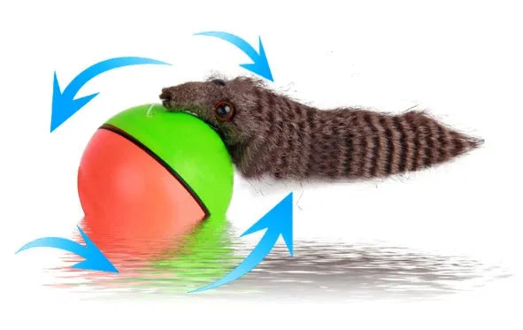 Interactive dog toy set with 8.5cm safety plastic ball and 21cm beaver figure for water play.