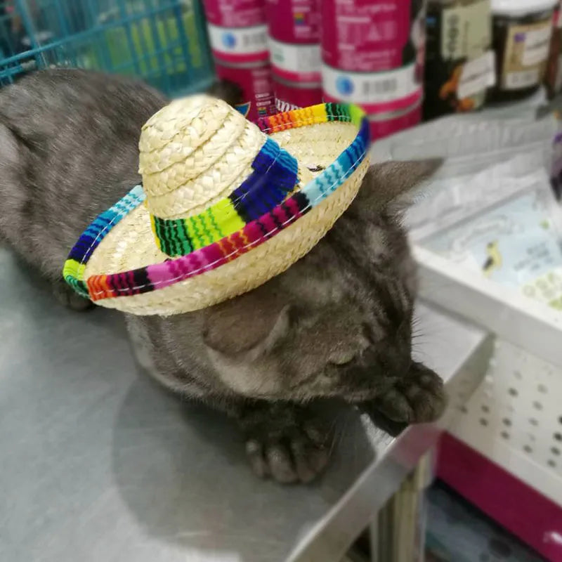 Mini woven straw pet hat for small dogs and cats, one size, 16cm diameter, Mexican-style pattern