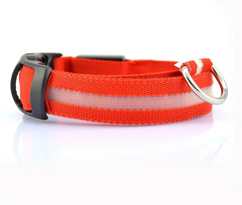 Nylon LED pet collar with adjustable buckle in blue, glowing with fibre optic lights in flash mode on a dark surface