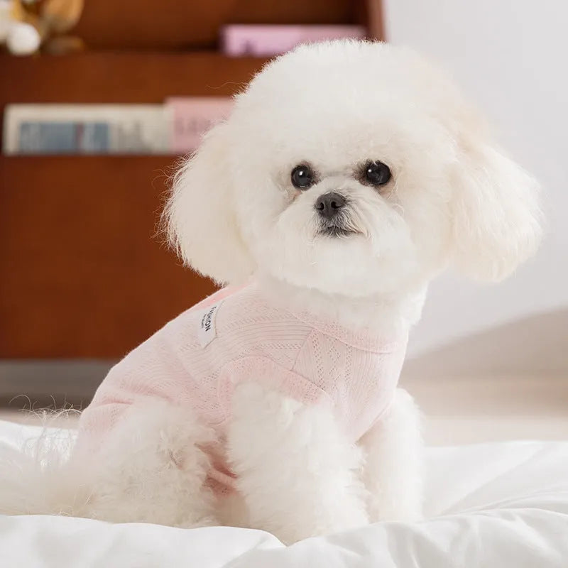 Pet shirt in soft yellow mesh fabric with cat patches and button closure on white background