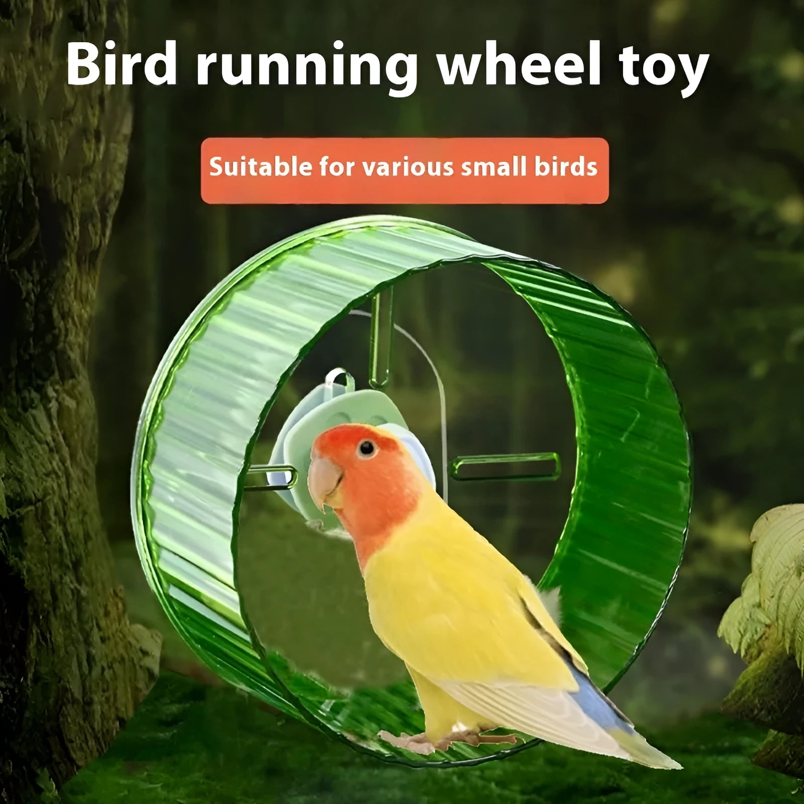 A plastic parrot running wheel toy, shown in transparent colour, for bird cage exercise.