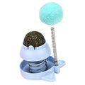 Compact 55x55mm mint ball cat toy for interactive play and dental care
