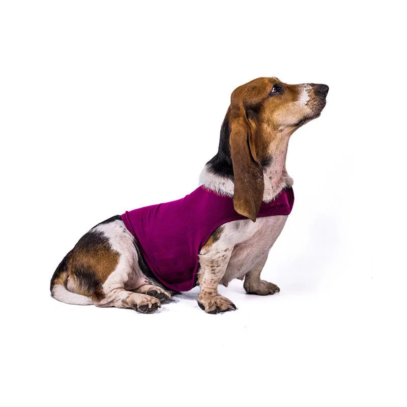 Anxiety jacket vest for cats in five colours, made of acrylic, with medical calming purpose