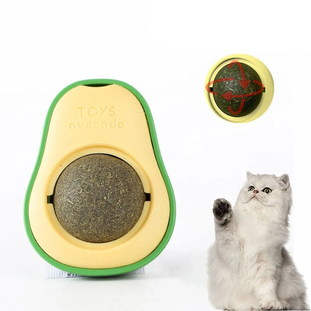 Avocado-shaped catnip wall toy attached to a smooth window with a silvervine ball for cat teeth cleaning