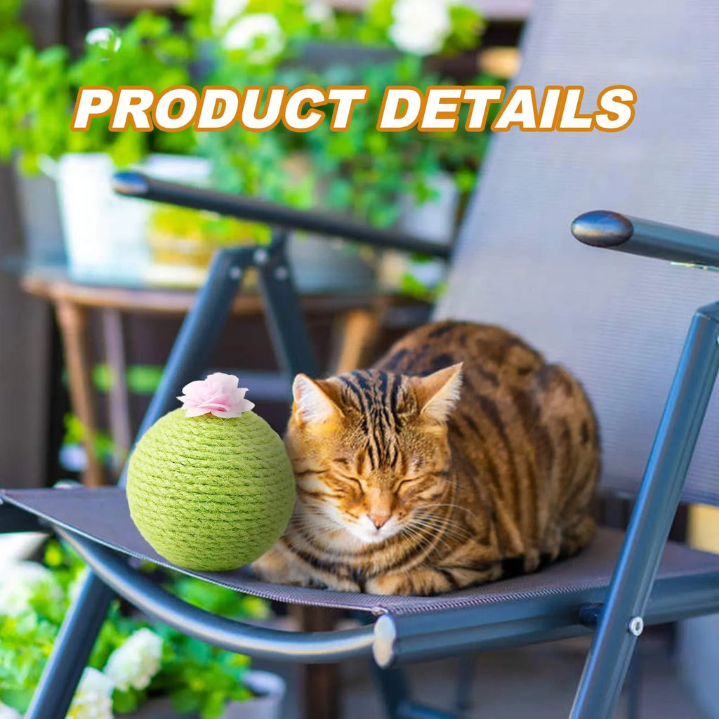 Green cactus-shaped cat scratcher ball with natural sisal scratching surfaces and integrated catnip toys