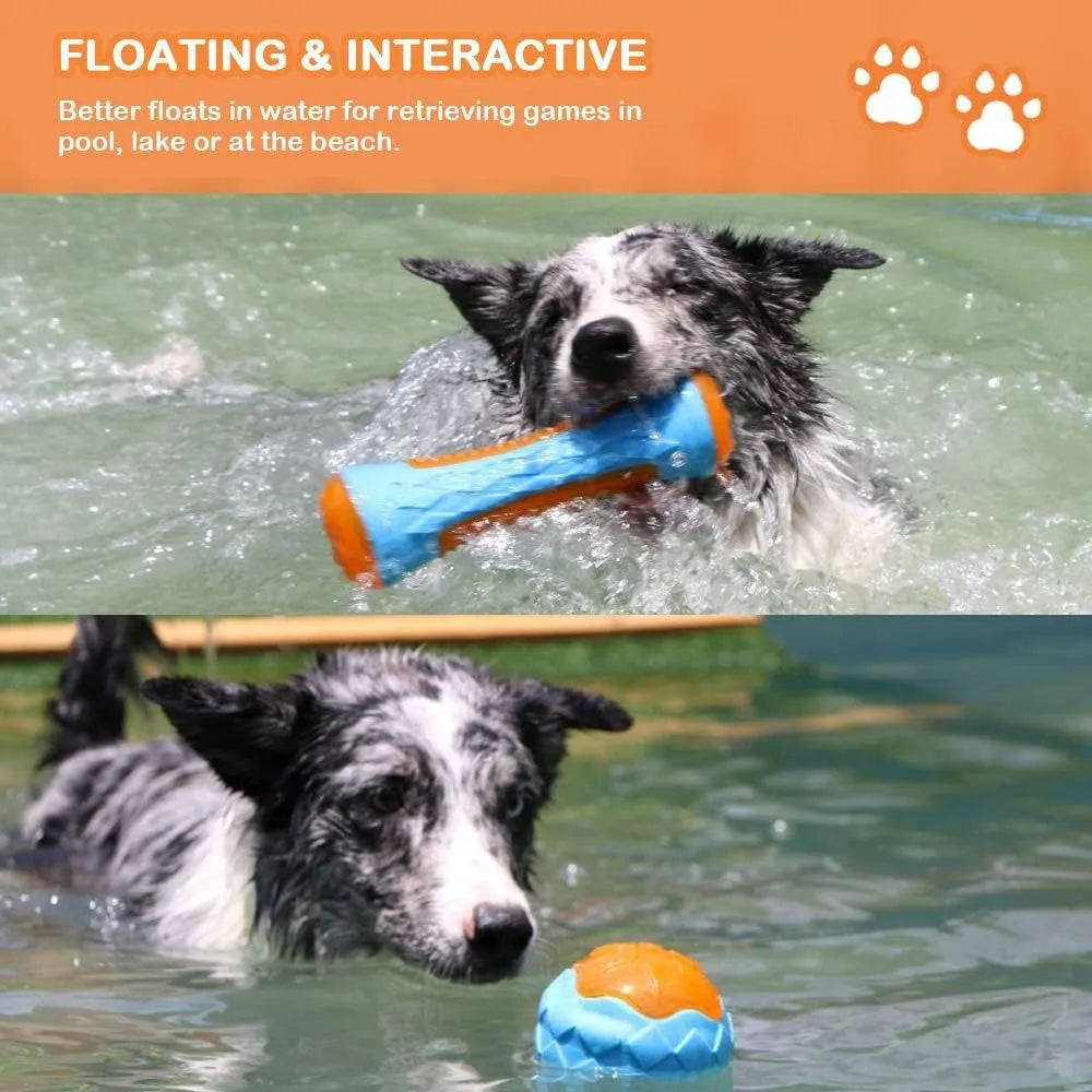 Set of four colourful floating dog toys: a ball, a barbell, and two tyres, on a blue background.