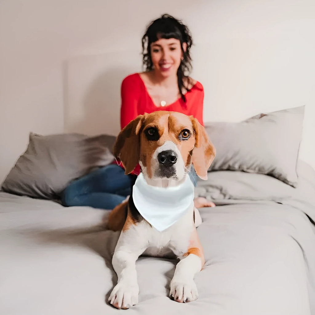 Blank white polyester dog scarf for thermal transfer customisation in four sizes