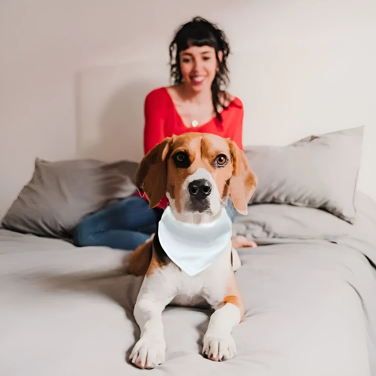 Blank white polyester dog scarf for thermal transfer customisation in four sizes