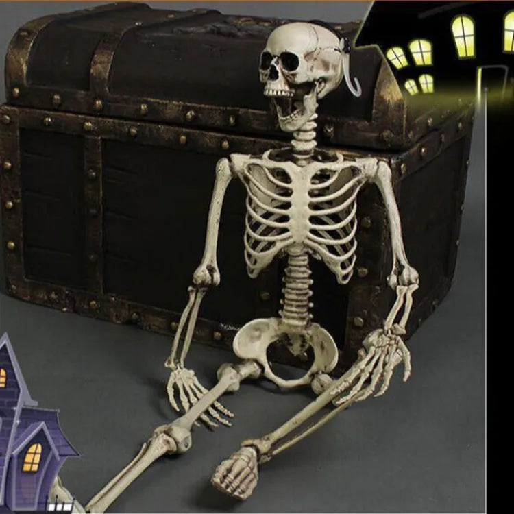 Full-size 170 cm tall plastic skeleton prop with detailed simulation skull on a white background.