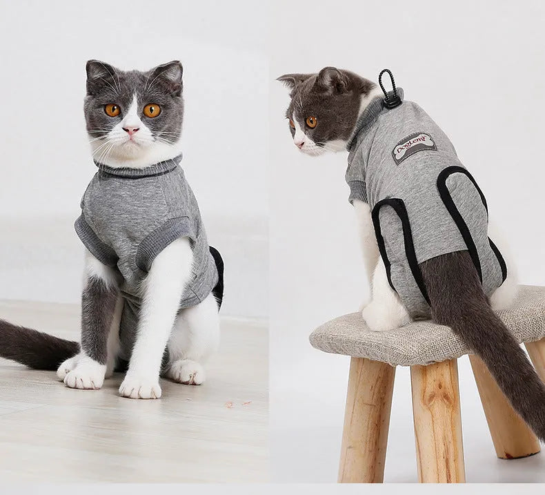 Pet cat recovery suit in pure cotton with anti-mite and sterilisation features, available in multiple sizes for small cats