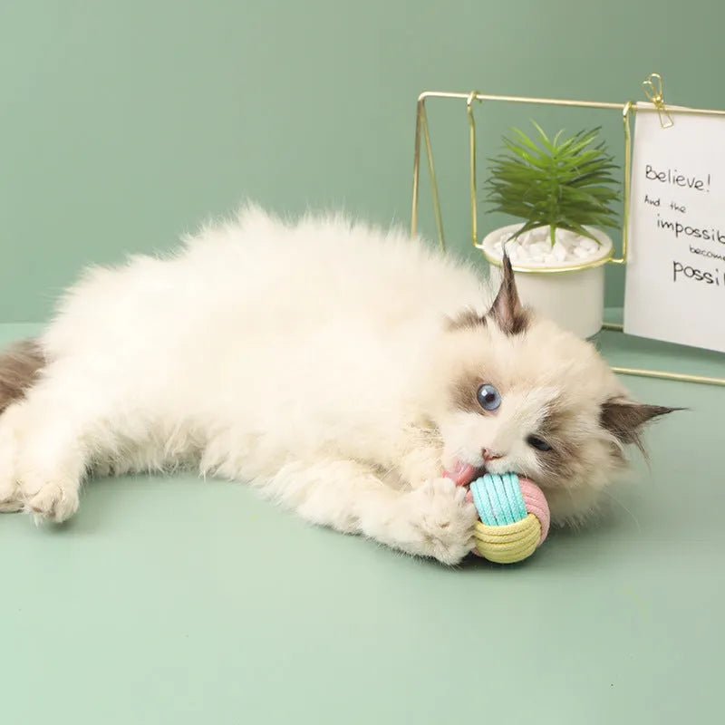 Handmade 5cm cat hair ball plush toy in blue powder, green blue, and pink green colours for interactive play