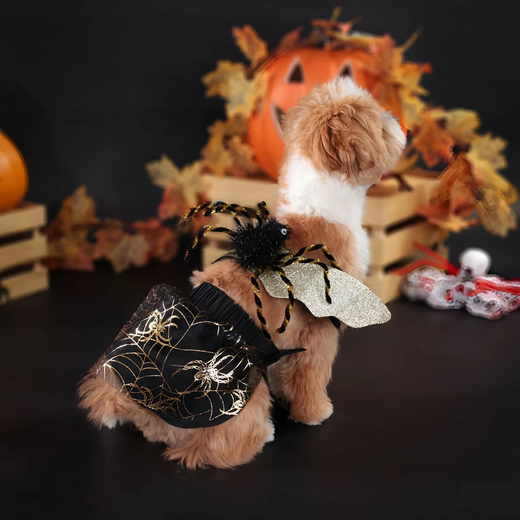 A dog wearing a smart suit-style Halloween costume in a classic suit colour.