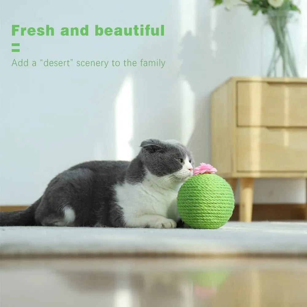 Green cactus-shaped cat scratcher ball with natural sisal scratching surfaces and integrated catnip toys