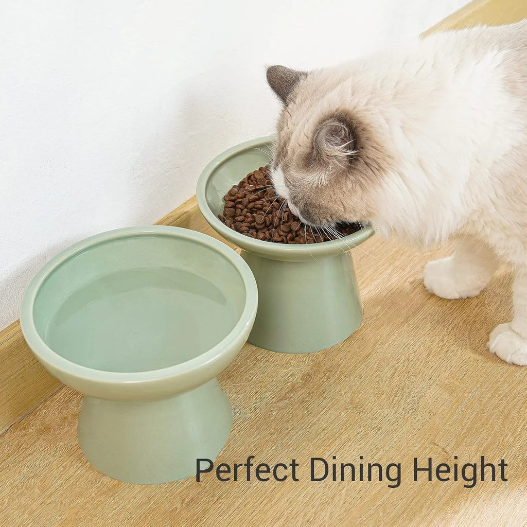 Elevated ceramic cat bowl in blue with wide shallow dish on weighted base