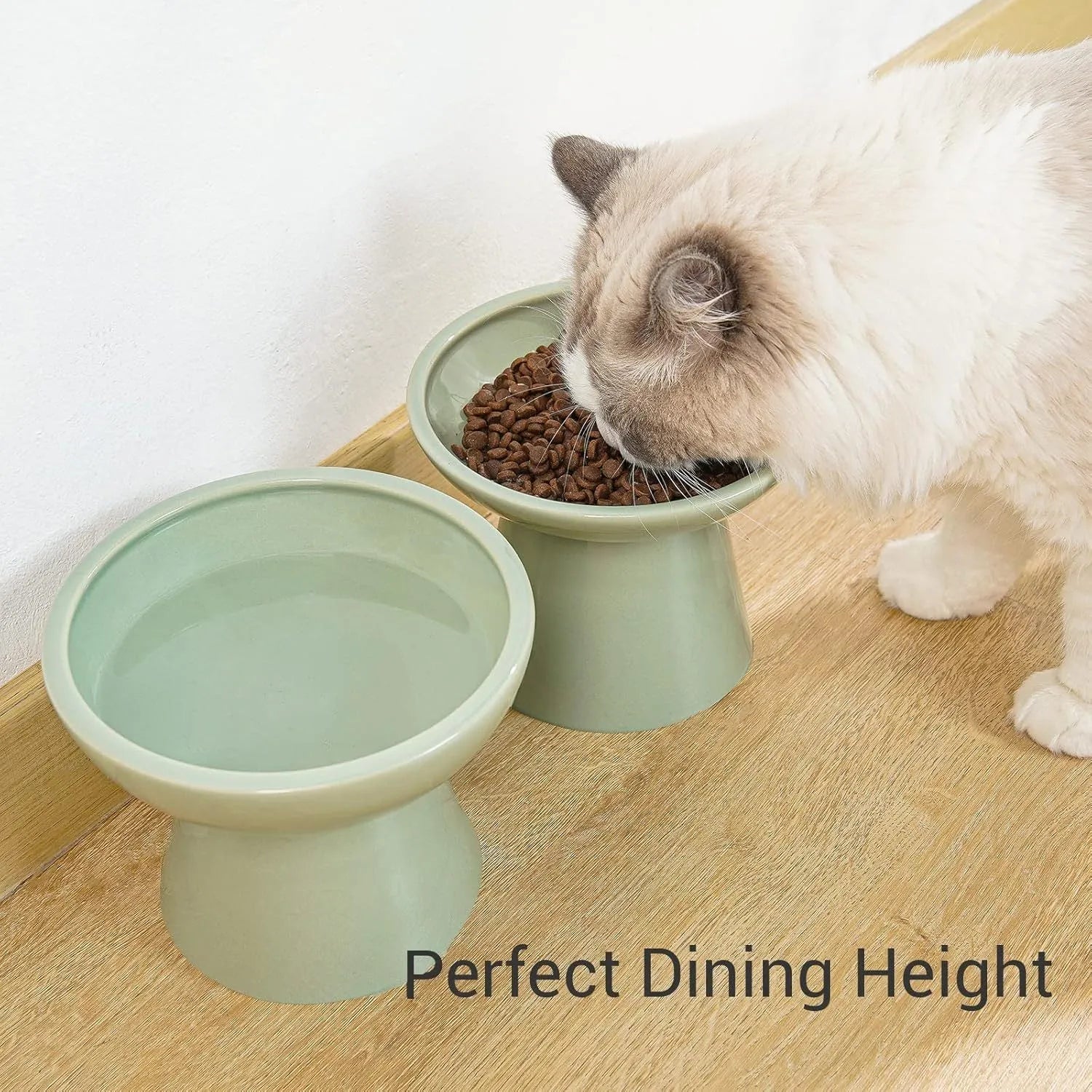 Elevated ceramic cat bowl in blue with wide shallow dish on weighted base