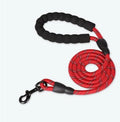 Reflective nylon dog leash in fluorescent green with metal clip, available in 150-300cm lengths