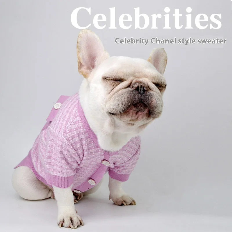 Classic style wool jumper for a Schnauzer dog in winter.