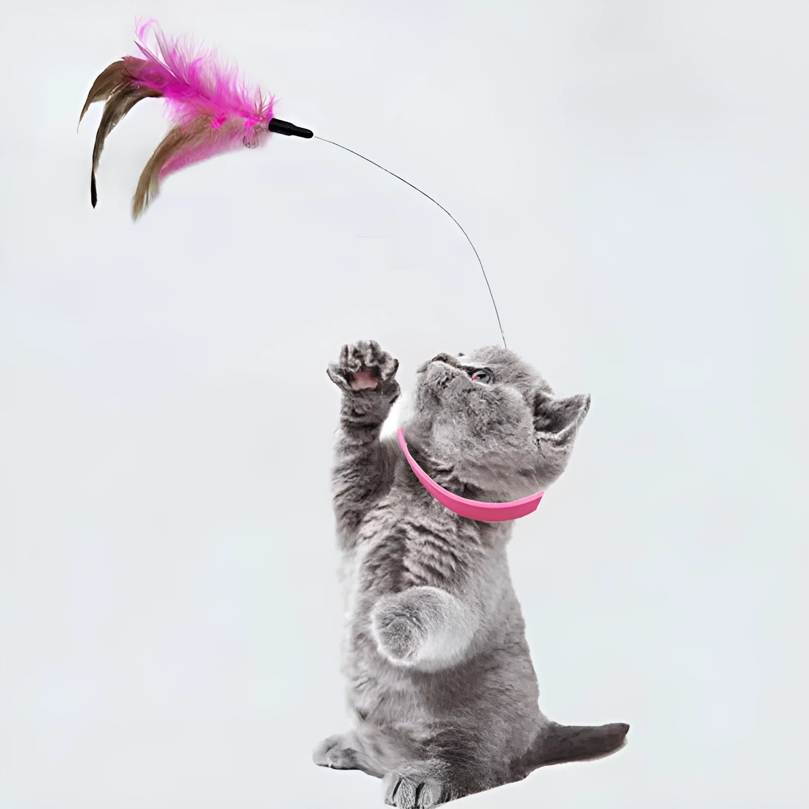 Blue adjustable cat collar with attached silicone wand and a feather and bell toy.
