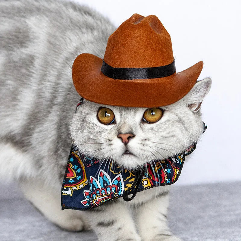 Pet cat western straw cowboy hat in brown, non-woven fabric, three sizes available