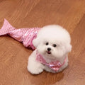 Blue mermaid tail costume with elastic chest strap on a cat, showing colourful scales and fish tail design.