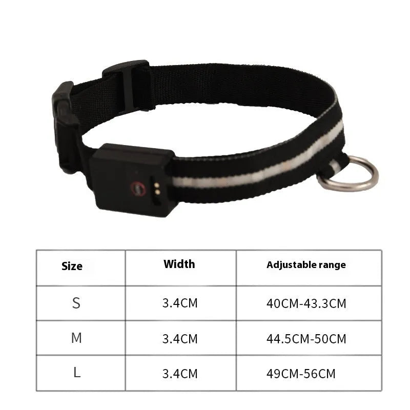 Black LED luminous dog collar and matching rope lead set for nighttime walking safety.