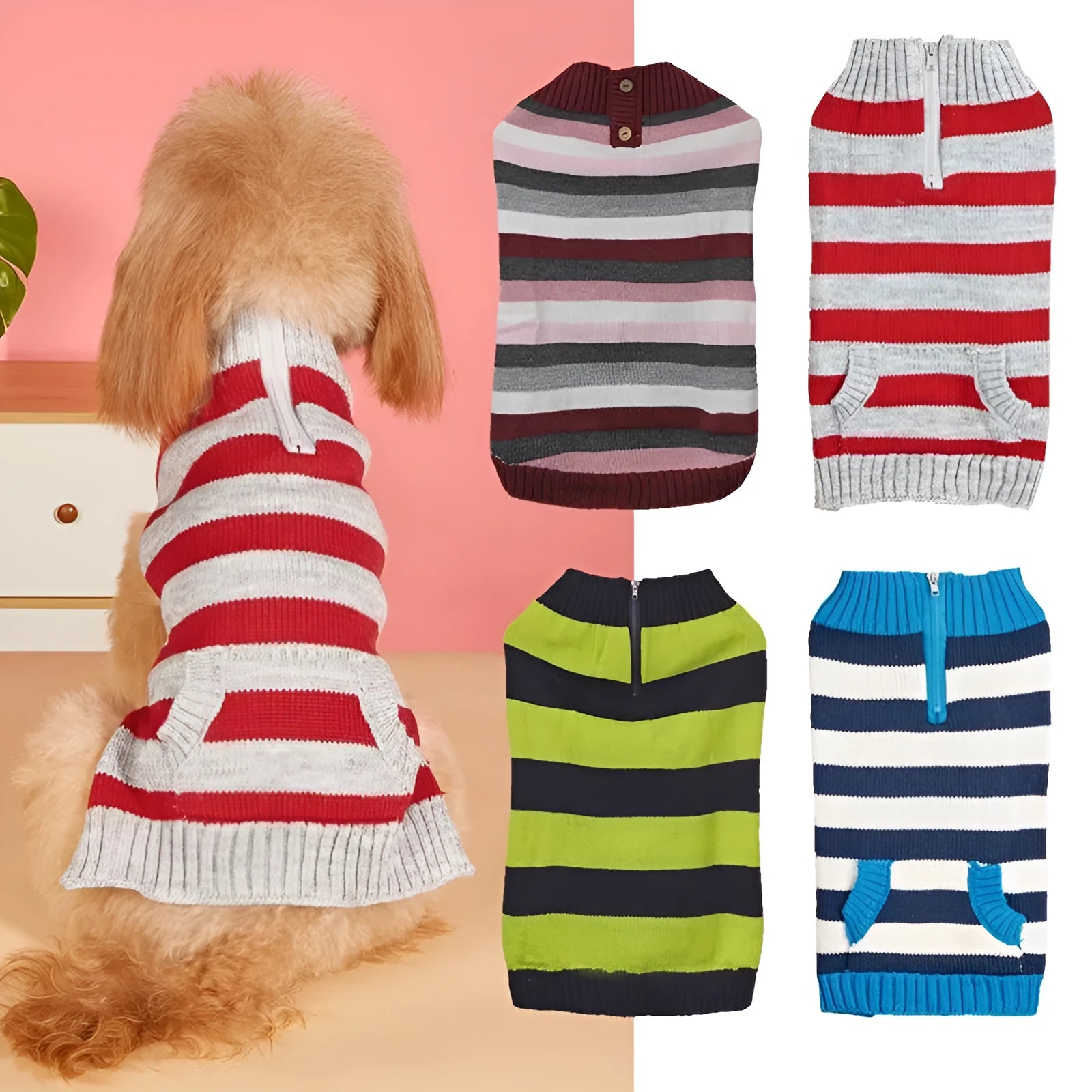 Blue dog sweater with horizontal zipper, side pocket, and contrast trim on a small dog.