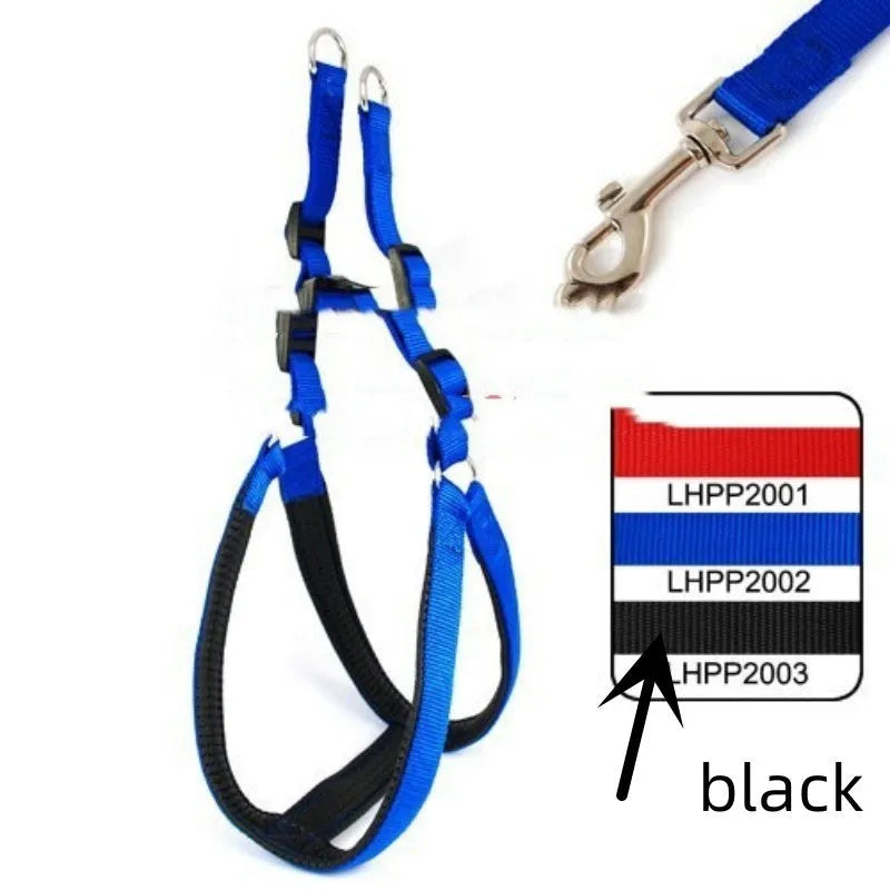 Blue nylon dog harness with polypropylene foam padding shown on medium-sized dog