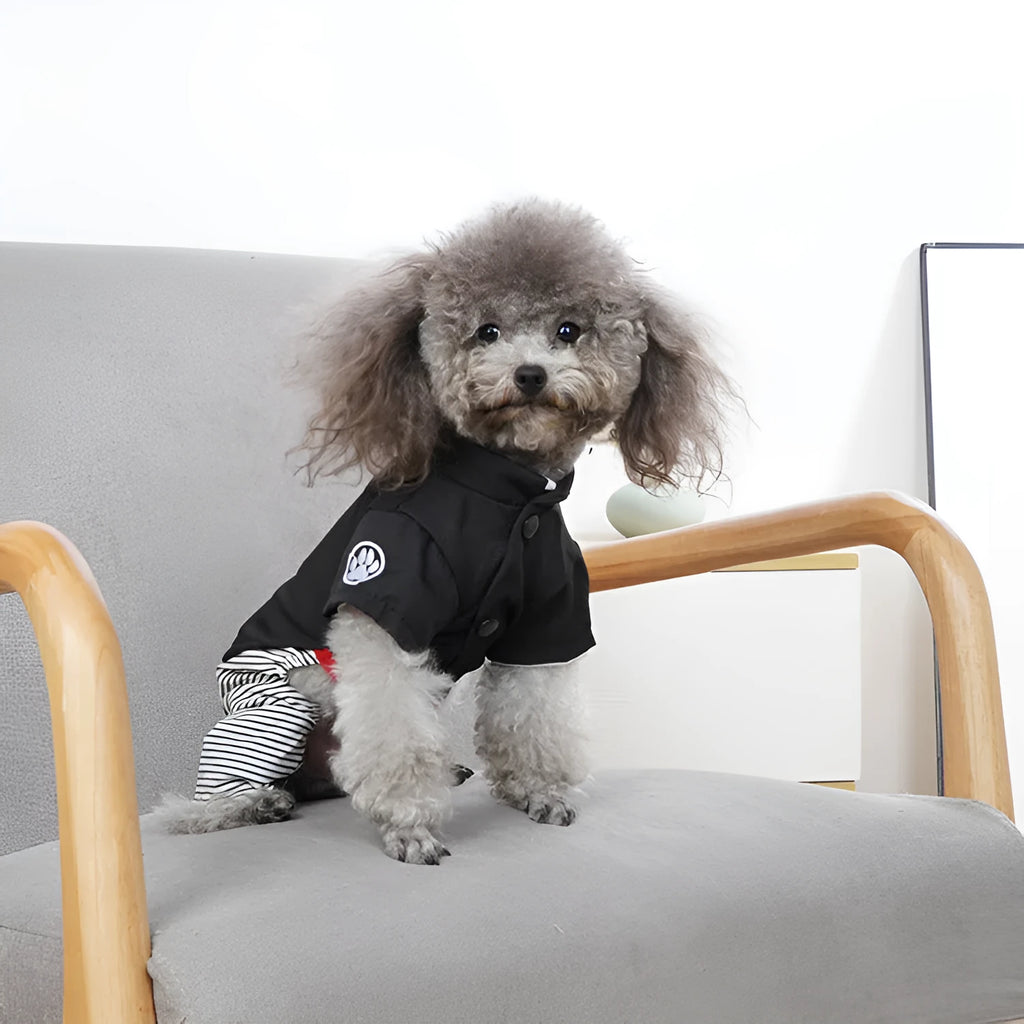 Cotton dog clothes for poodles in skirt or four-legged pants styles for spring and autumn wear