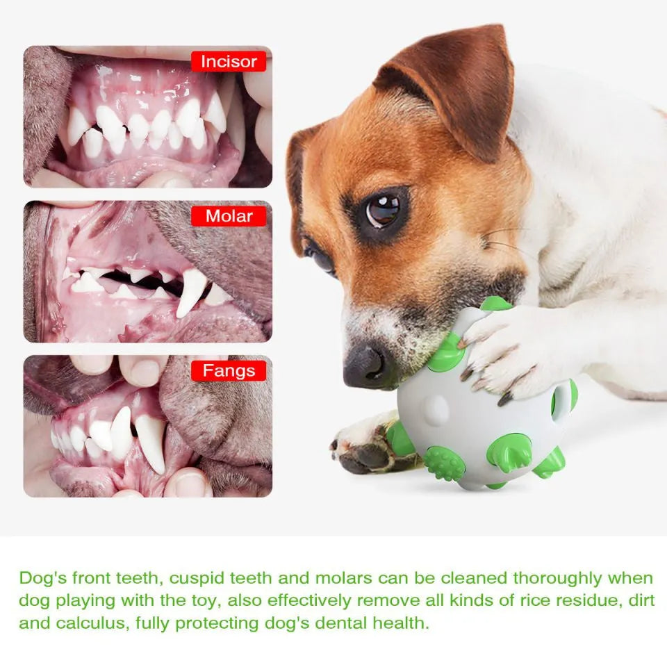 Blue green and yellow nylon dog teething chew ball with textured bumps and hollow treat-dispensing centre.