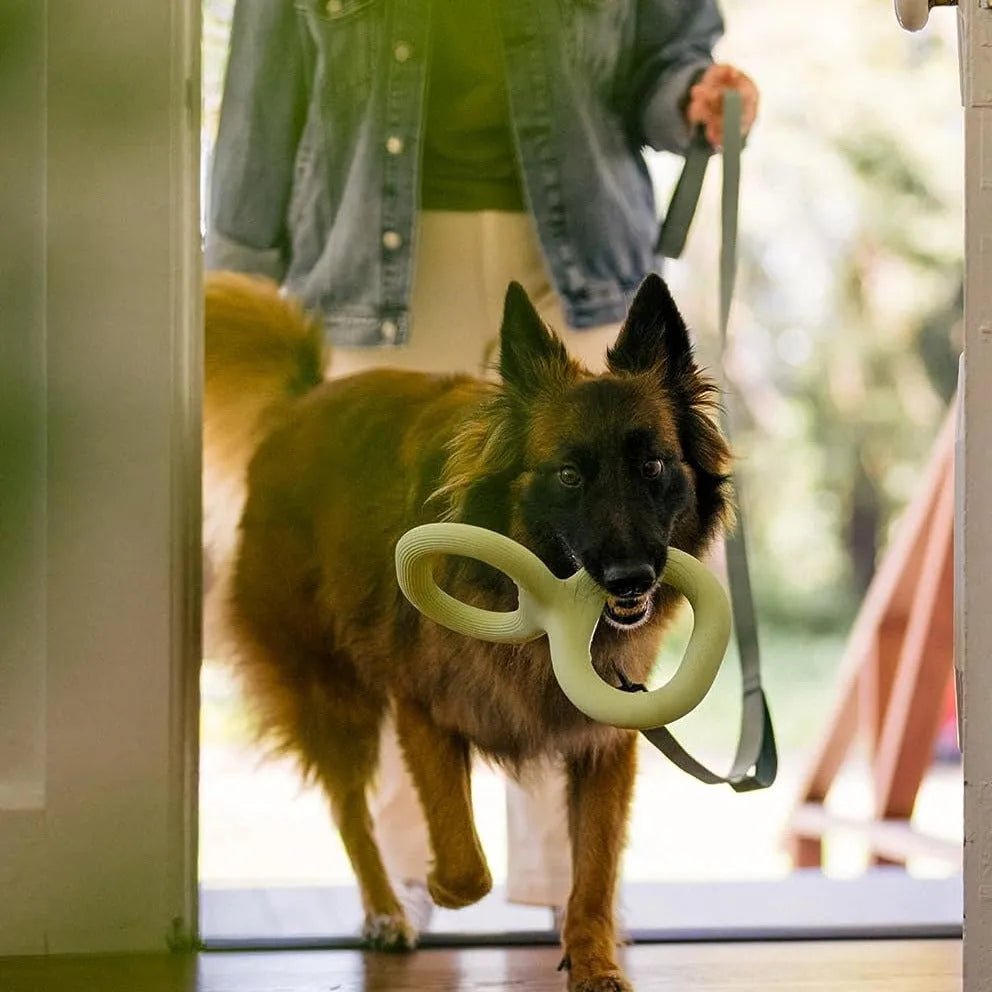 Light green rubber pet bite pull toy shown as a single-piece dog tug toy available in 22.8cm and 28cm sizes.