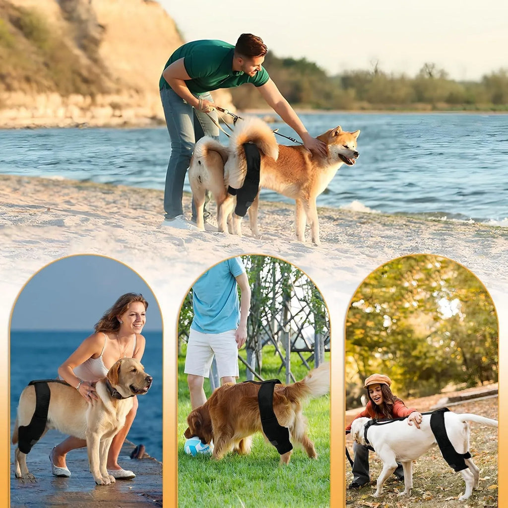 Dog leg protector knee brace auxiliary belt in sizes S M L for pet joint protection