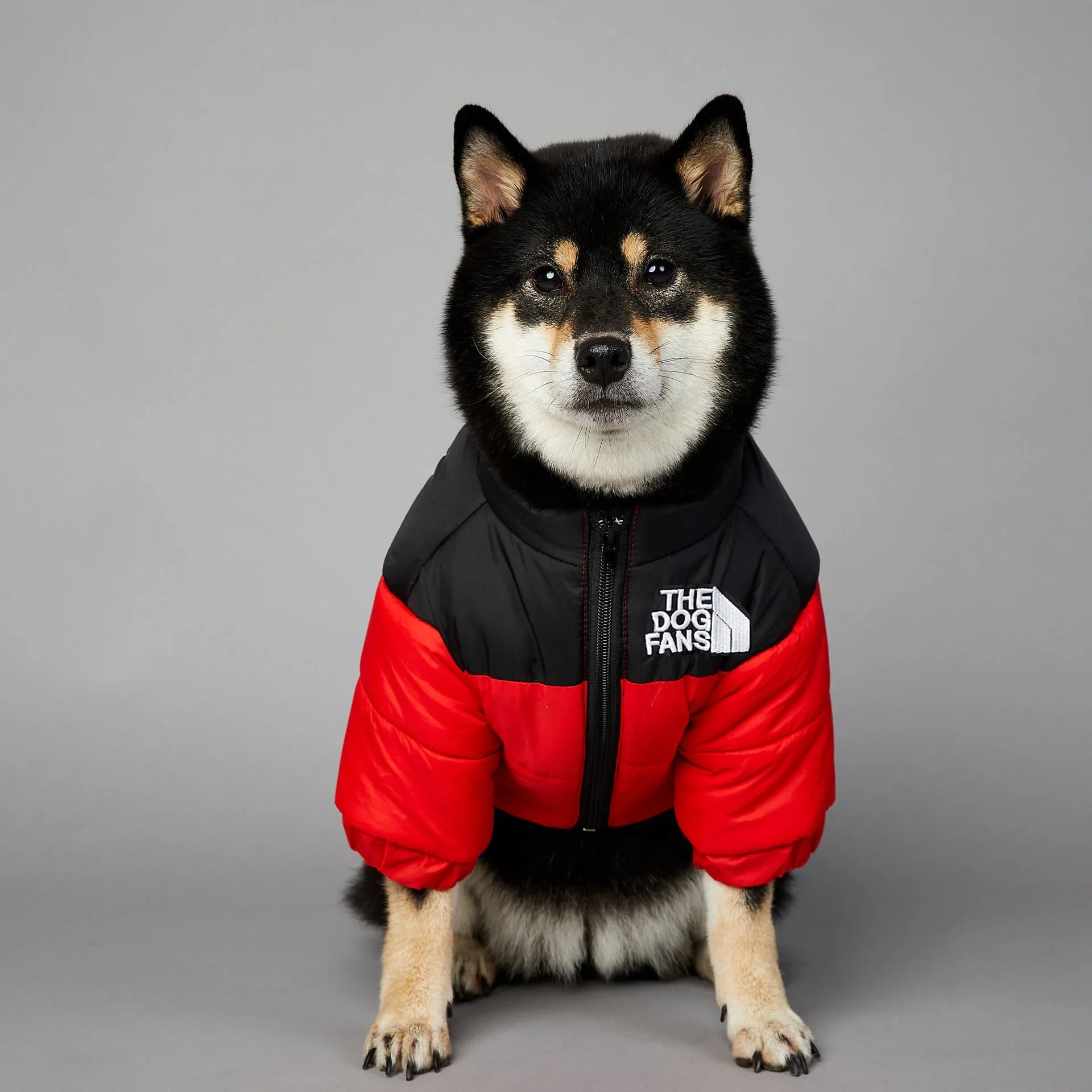 Windproof rainproof dog winter warm cotton-padded coat in polyester, sizes S to 5XL, multiple colours