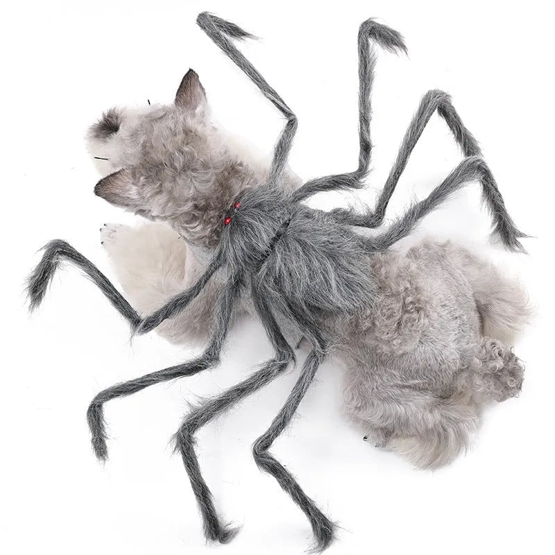 Grey big spider Halloween costume on a dog, showing the four-legged design.
