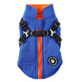 Adjustable chest strap dog winter jacket in blue, showing the strap closure and cotton-padded design.