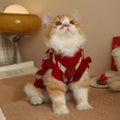 Red cat sweater with rhombic embroidery cherry pattern showing size options for pet clothing