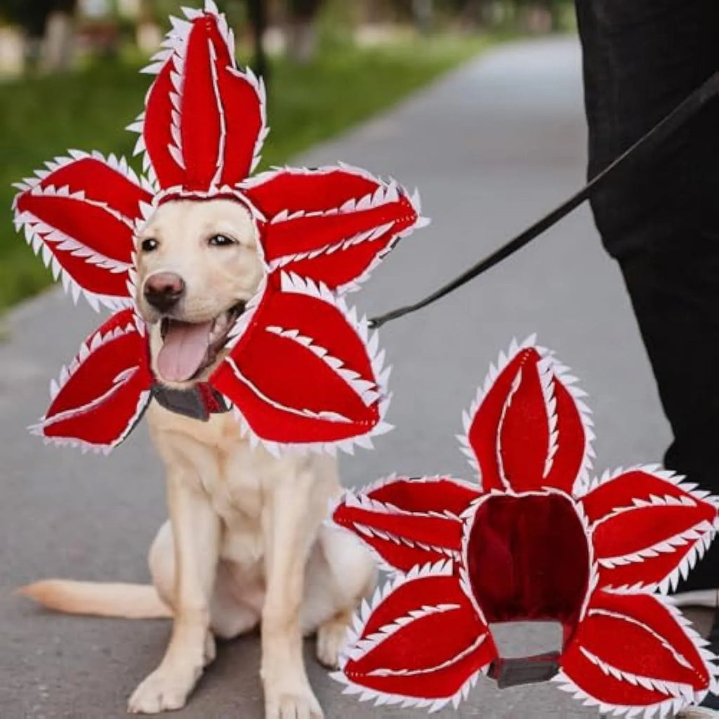 Dog wearing Halloween demon headband costume with chomper teeth and pink flower decoration